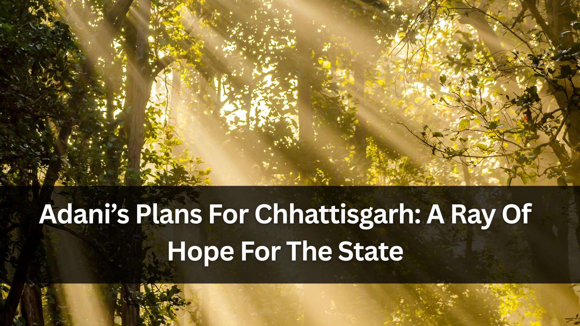 Adani's Plans For Chhattisgarh: A Ray Of Hope For The State